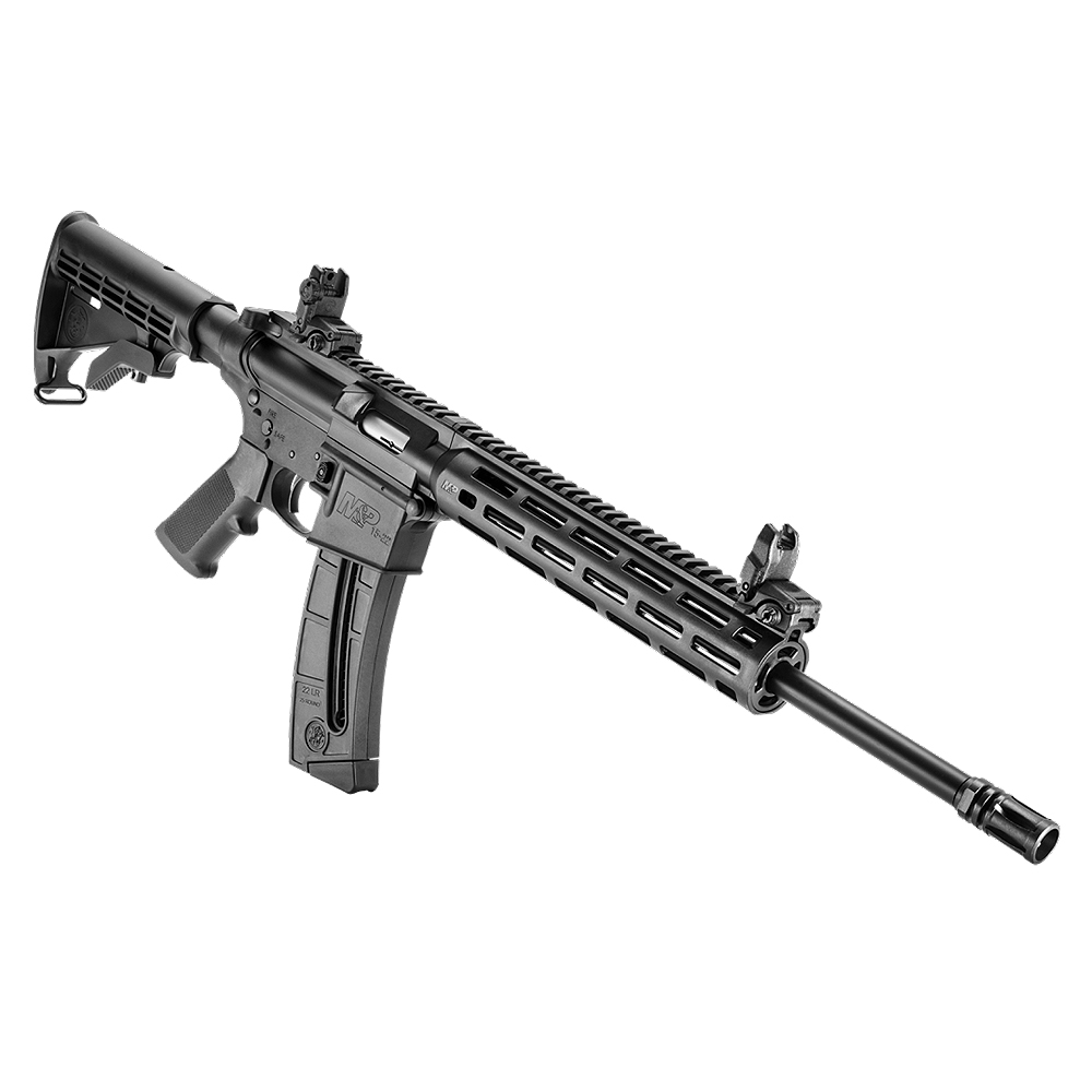 RIFLE SMITH &amp; WESSON M&amp;P 15-22 10208
