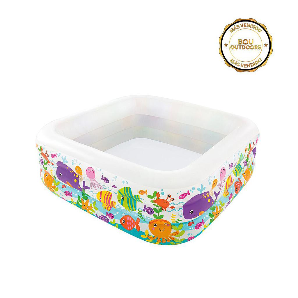 PISCINA CLEARVIEW AQUARIUM INT-57471 (DESC)