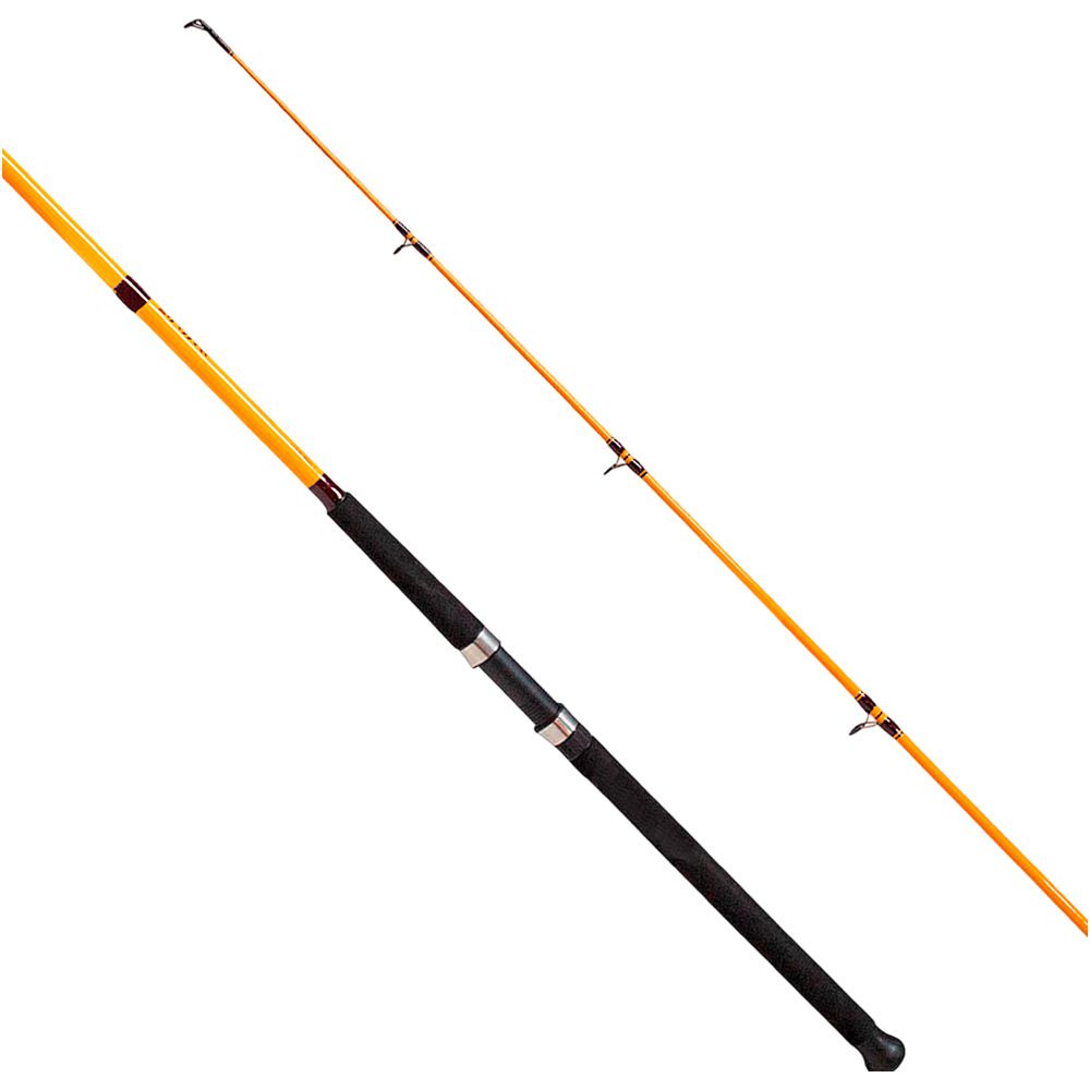 CAÑA PESCA SPINNING SURF DAIWA FT 11PIES FTS1102MFS