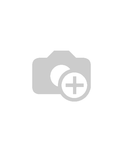 BALINES GAMO HOLLOW POINT 10X MULTISHOT 6322547 .22 (250)